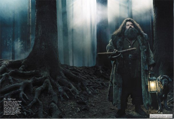 Keeper of Keys and Grounds at Hogwarts