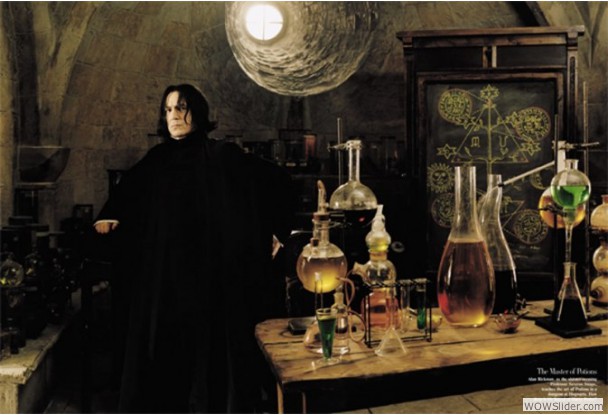 The Potions Master